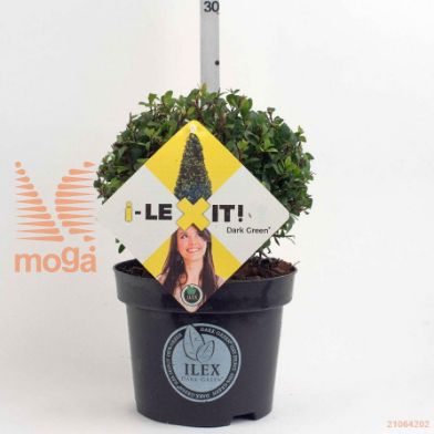 http://twentheplant.nl/tsd/91225_ILCDGREE_VBL15P17_2.jpg