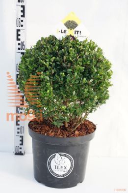 http://twentheplant.nl/tsd/91225_ILCDGREE_VBL35C10_1.jpg