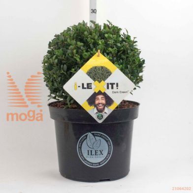 http://twentheplant.nl/tsd/91225_ILCDGREE_VBL25P23_2.jpg