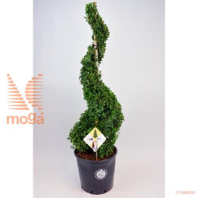 http://twentheplant.nl/tsd/91225_ILCDGREE_VSP120C25_1.jpg