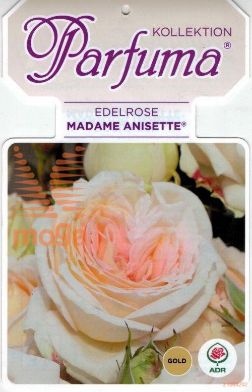 http://twentheplant.nl/tsd/74813_ROMANISE_8P23_1.jpg