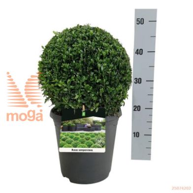 http://twentheplant.nl/tsd/55028_BUSEMPER_VBL30P23ANT_1.jpg