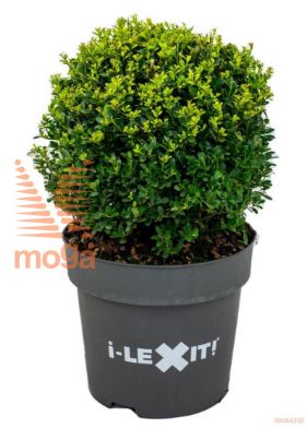 http://twentheplant.nl/tsd/91225_ILCDGREE_vbl40c15_1.jpg