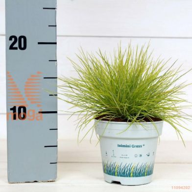 http://twentheplant.nl/tsd/51007_FEGGTOUP_8P10.5_1.jpg