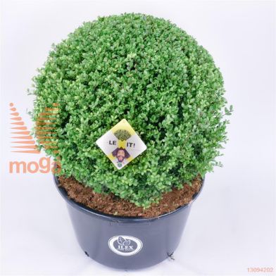 http://twentheplant.nl/tsd/91225_ILCDGREE_VBL60C45_1.jpg