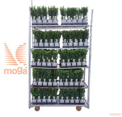 http://twentheplant.nl/tsd/76725_EUJGSPIR_8p12020025_1.jpg