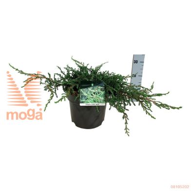 http://twentheplant.nl/tsd/55037_JUCRISTO_8P24040050_1.jpg