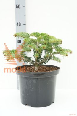 http://twentheplant.nl/tsd/94500_ABNBCOMP_8P23020025_1.jpg