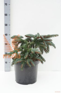 http://twentheplant.nl/tsd/88315_ABCMDWAR_8P26030040_1.jpg