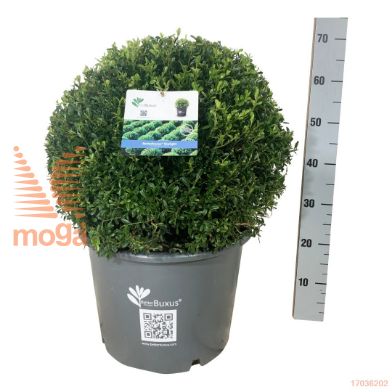 http://twentheplant.nl/tsd/55028_BBSKLIGH_VBL50C25_1.jpg