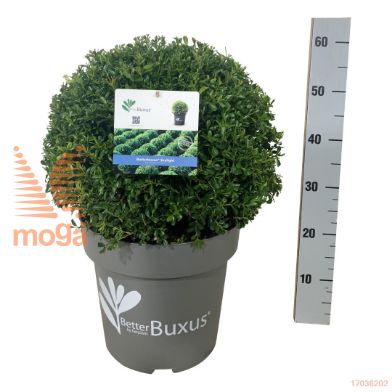 http://twentheplant.nl/tsd/55028_BBSKLIGH_VBL35C10_1.jpg
