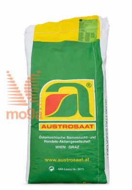 Slika Mešanica travniških cvetlic Blumenweisen |10kg|